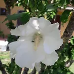 Tatil Evi La Cicala
