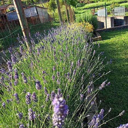 Nyaraló La Cicala Pontremoli