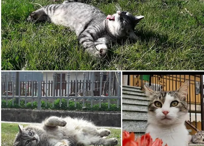 La Cicala Сasa de vacaciones *