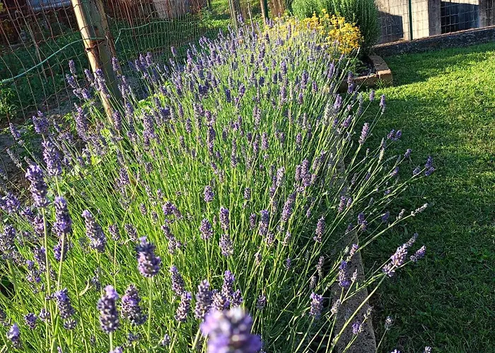 Сasa de vacaciones La Cicala Pontremoli