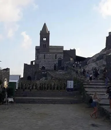 La Cicala
